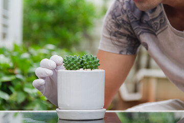 man wearing white gloves decorate cactus in small pot