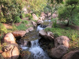 A flowing stream around sunset with lush trees and plants in a Japanese garden located in Phoenix, Arizona 