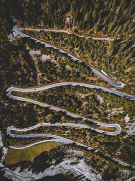 Aerial view of trees and road