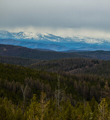 Fototapeta na wymiar mountains in the morning