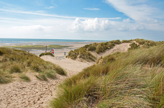 Sand dunes and beach scenery in the summertime.