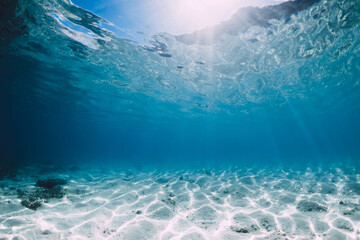 Fototapeta na wymiar Tropical ocean with white sand and stones underwater in Hawaii. Ocean background
