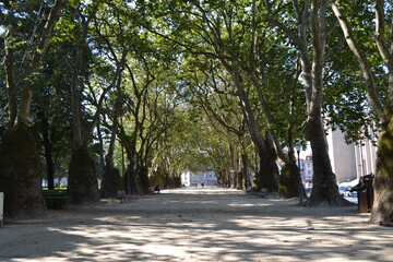 Paisaje