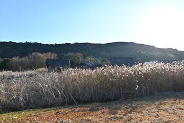 autumn in the mountains