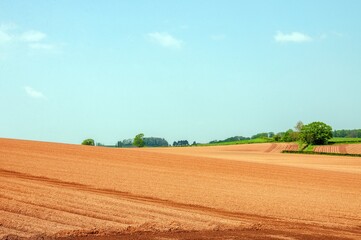 Obraz premium Ploughed field and blue sky in the summertime.