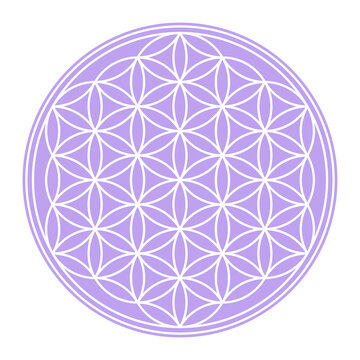 White Flower of Life on a pastel purple circular field. Geometric figure and spiritual symbol of the Sacred Geometry. Overlapping circles forming a flower like pattern. Illustration over white. Vector