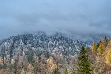 Charming autumn landscape in first early frost in Swiss Alps. Colorful autumn scene of Swiss Alps. Location: Berschis, Canton St. Gallen, Switzerland, Europe