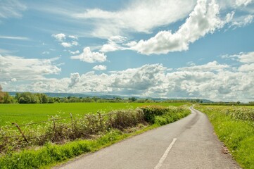 Summertime country lane in Britain. 