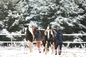 dzieci szykujące się do nauki jazdy konnej na terenie ośrodka pośród lasów
