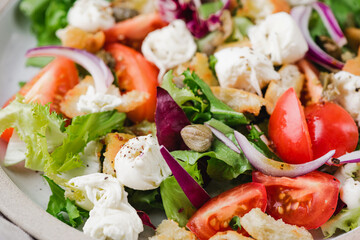 Panzanella salad with mozzarella cheese closeup view. Healthy italian salad