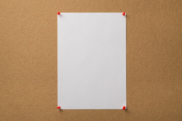 Photo of vertical clear sheep of paper attached with red pins to the wooden board