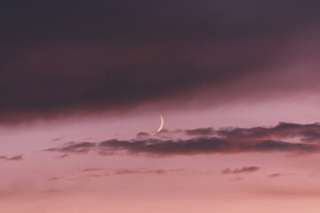 New moon moon among pink clouds at sunset. © dmitriydanilov62