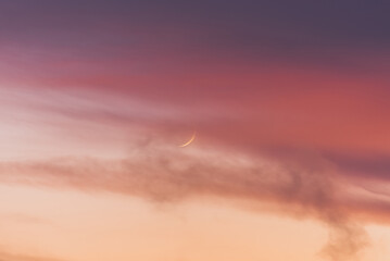 New moon moon among pink clouds at sunset. - obrazy, fototapety, plakaty