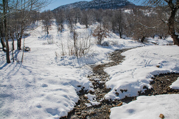 mountain stream in the winter forest