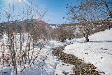 mountain stream in the winter forest