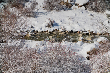 mountain stream in the winter forest
