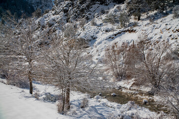 mountain stream in the winter forest