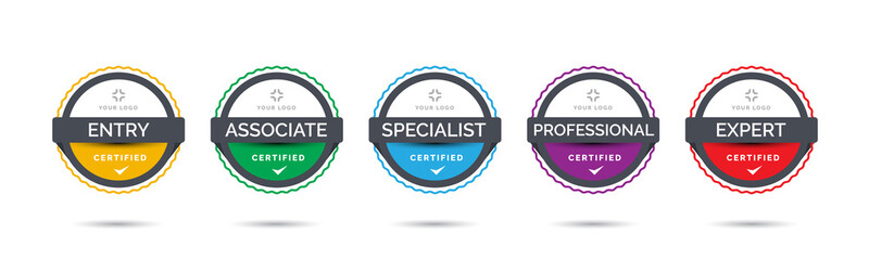 Set of company training badge certificates to determine based on criteria. Vector illustration certified logo with colorful line design. - obrazy, fototapety, plakaty