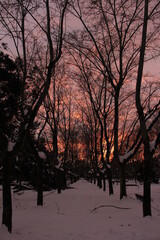 snowy sunset in madrid