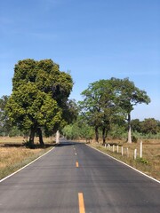 Naklejka premium road in the countryside