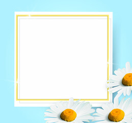 
White daisies on a blue background. Place for your text. Floral template for greeting card, invitation, banner, poster. Realistic 3D vector.