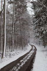 Fototapeta premium German Landscape in the winter with snow and forest.