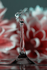 the game of water droplets