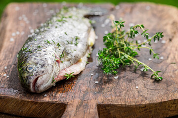 Closeup of fresh trout with salt and herbs