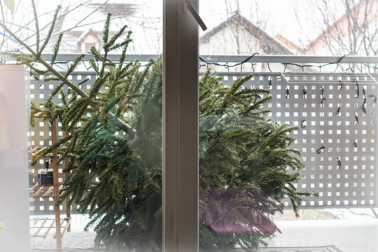 Old Christmas tree with no decoration thrown out in the balcony