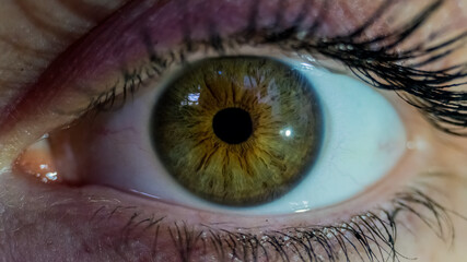 close up of a female eye