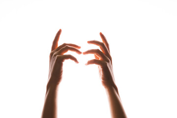 Hand gestures. Elegant female hands point upward, isolated on white, contour lighting, contrast.