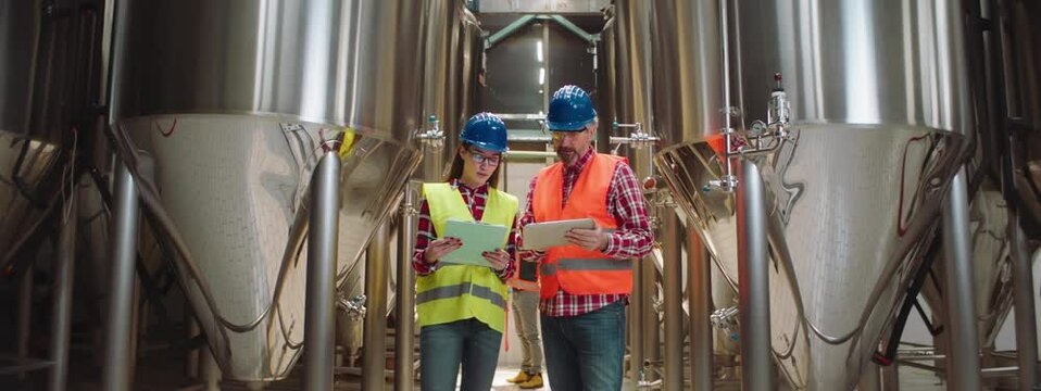 Mature man explaining production process during training young adult female colleague. Chemical or food production process control concept.