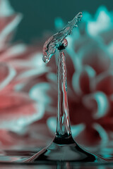 the game of water droplets