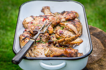 Ready to eat spicy grilled chicken with spices in garden