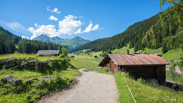 beautiful walkway Dischma valley near Davos, tourist destination prattigau switzerland. wooden huts in spring landscape