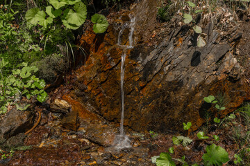 Obraz premium Small color spring near small path in Jeseniky mountains