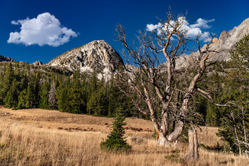 Mountain peak towers over a meadow with clouds in the sky