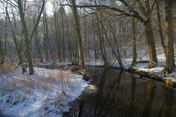 Obraz premium Hellbach mit Schnee