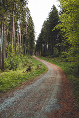 Obraz premium Hiking trail in German forest. Scenic footpath in Rothaar Mountains in Northrhine-Westphalia state