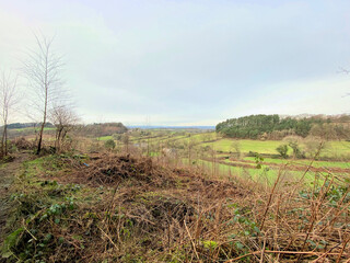 Obraz premium A view of Bickerton Hills in Cheshire
