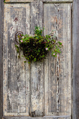 Fototapeta na wymiar Old wooden door with flowers.