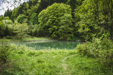 Small lake called Bodensee near Winterberg. Scenic forest landscape in Rothaar Mountains in Northrhine-Westphalia state