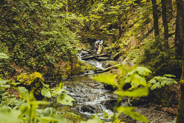 Scenic wild Helle river near Winterberg in Rothaar Mountains in Northrhine-Westphalia state