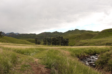 landscape in the mountains