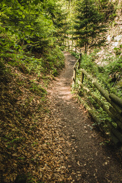Hiking trail in German forest. Scenic footpath in Rothaar Mountains in Northrhine-Westphalia state