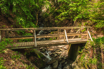 Hiking trail in German forest. Scenic footpath with wooden bridge in Rothaar Mountains in Northrhine-Westphalia state