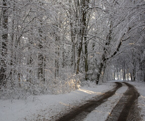 Winterweg