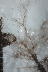 ice on lake reflection