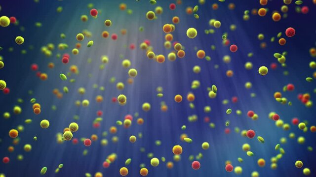 3d render animation of airborne pollen grains. Pollen allergy is also known as hay fever or allergic rhinitis.