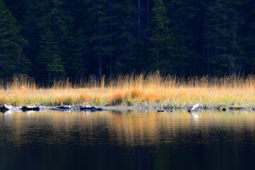 Impressionen eines Bergsees